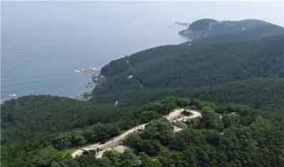 200余名学生走进刘公岛历史大课堂